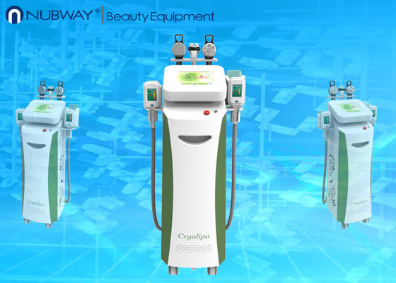 Cryolipolysis Fat Freeze Slimming Máy / Fat Freezing Cellulite Giảm Slimming Máy