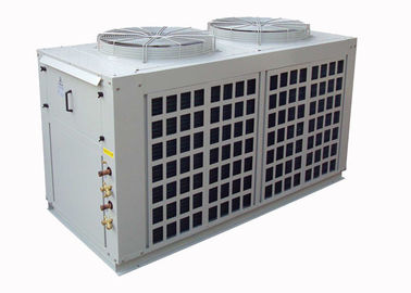 R22 đa ngầm hoá Chia Điều hòa Với kín Scroll Compressor
